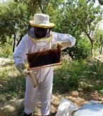 /Gallery/Events/ApprendreLApiculture/WhatsApp Image 2018-07-09 at 9.57.57 AM (1).jpeg